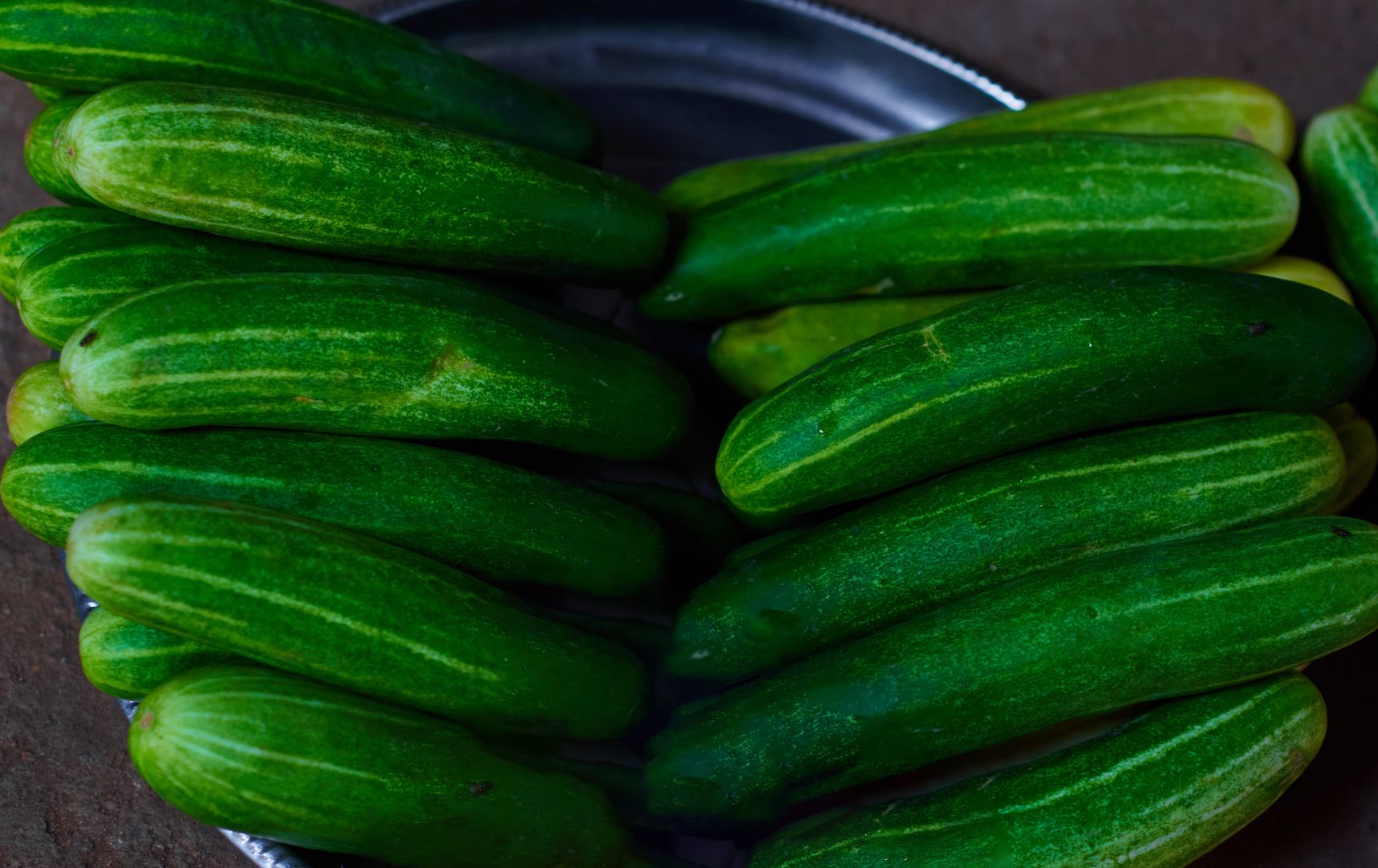 Farm fresh harvest