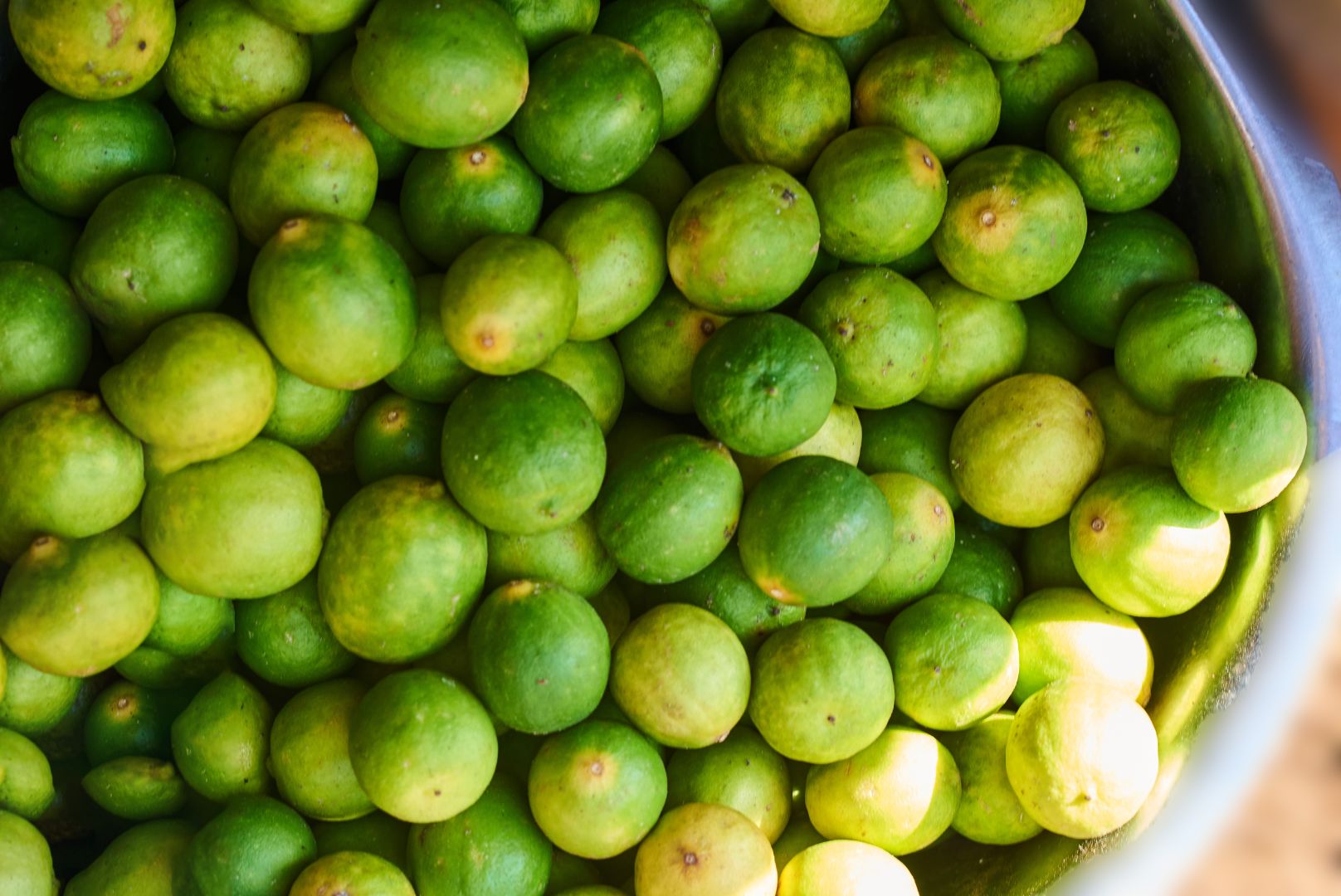 Lime Orange